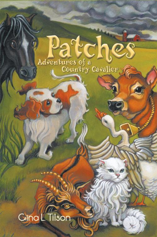 Cover of the book Patches by Gina L. Tilson, AuthorHouse