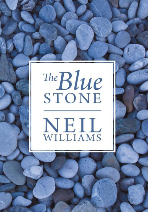 Cover of the book The Blue Stone by Neil Williams, Abbott Press