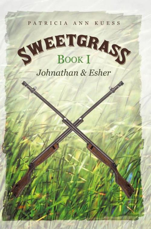 Cover of the book Sweetgrass: Book I by Patricia Ann Kuess, iUniverse