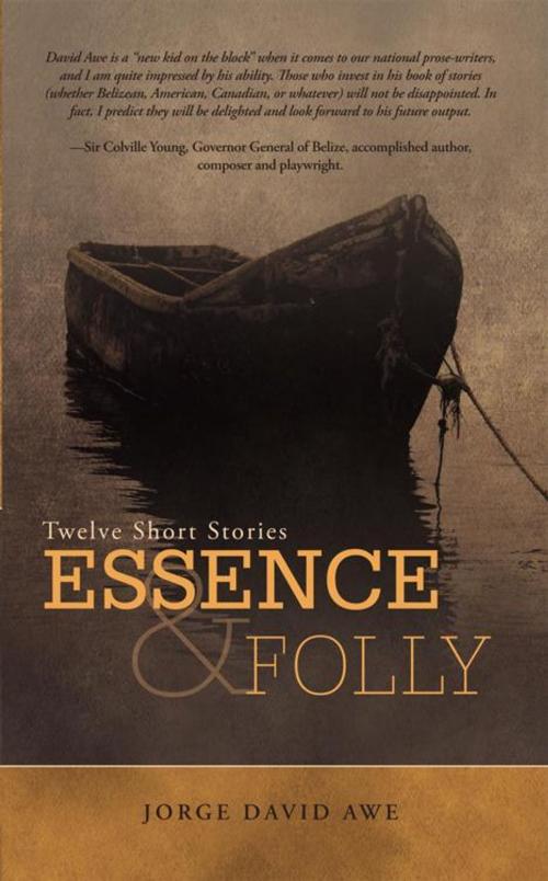 Cover of the book Essence & Folly by Jorge David Awe, iUniverse