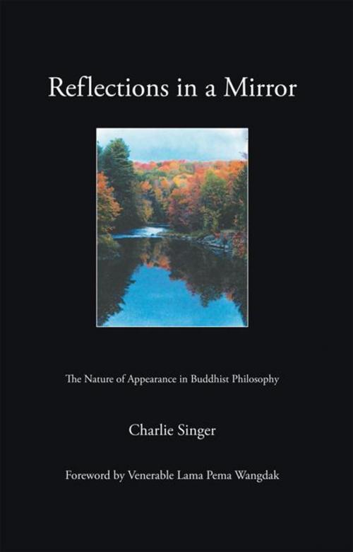 Cover of the book Reflections in a Mirror by Charlie Singer, iUniverse
