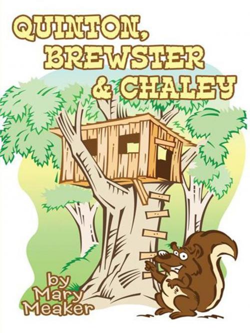 Cover of the book Quinton, Brewster & Chaley by Mary Meaker, AuthorHouse
