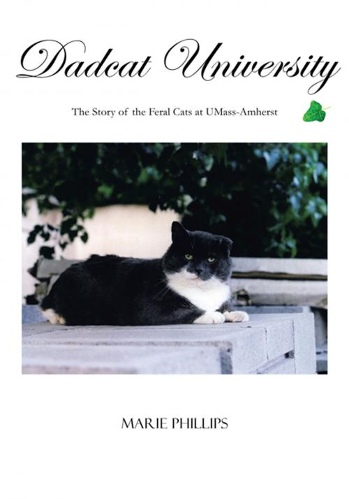 Cover of the book Dadcat University by Marie Phillips, AuthorHouse