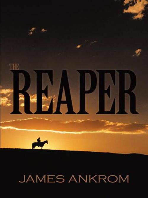 Cover of the book The Reaper by James Ankrom, AuthorHouse