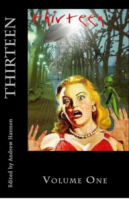 Cover of the book Thirteen Volume One by Andrew Hannon, Andrew Hannon