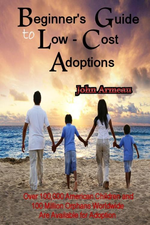 Cover of the book A Beginner's Guide to Low-Cost Adoptions by John Armeau, John Armeau