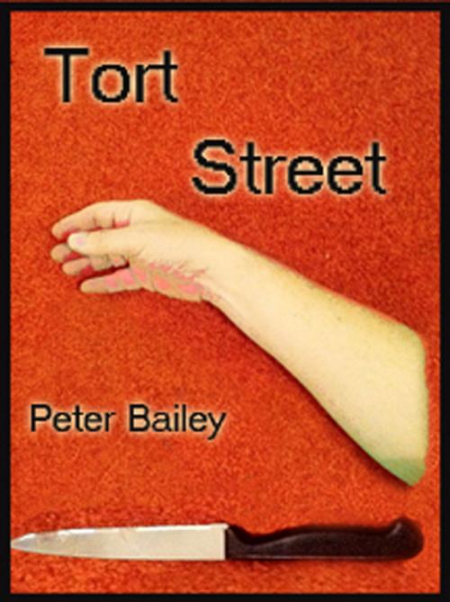 Cover of the book Tort Street by Peter Bailey, Peter Bailey