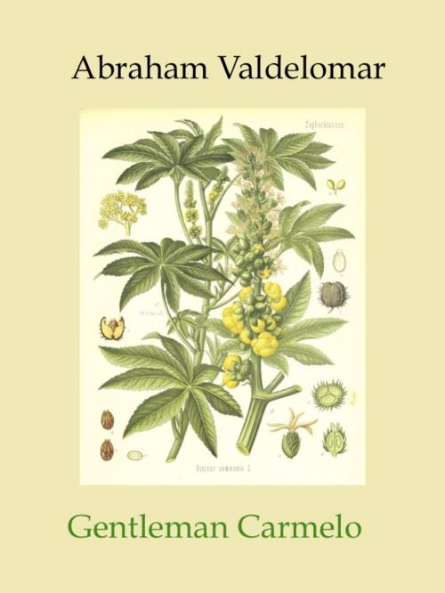 Cover of the book Gentleman Carmelo by Abraham Valdelomar, Fario