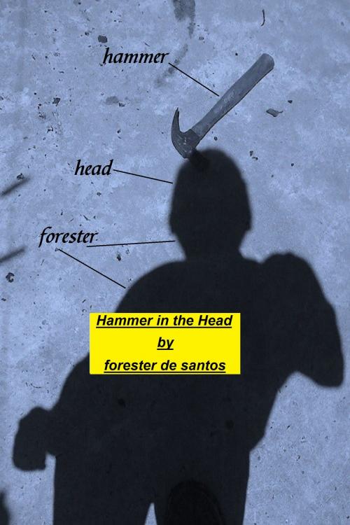 Cover of the book Hammer In The Head by Forester de Santos, Forester de Santos