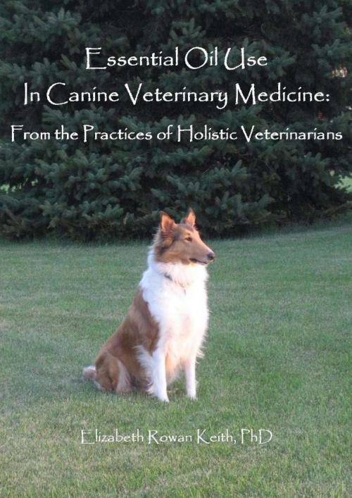 Cover of the book Essential Oil Use in Canine Veterinary Medicine: From the Practices of Holistic Veterinarians by Elizabeth Rowan Keith, Elizabeth Rowan Keith