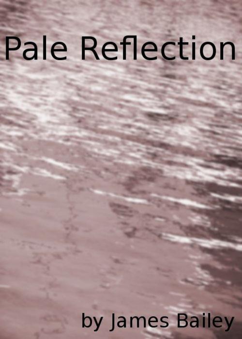 Cover of the book Pale Reflection by James Bailey, James Bailey