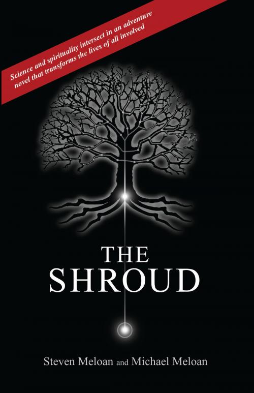 Cover of the book The Shroud by Steven_and_Michael Meloan, Steven_and_Michael Meloan