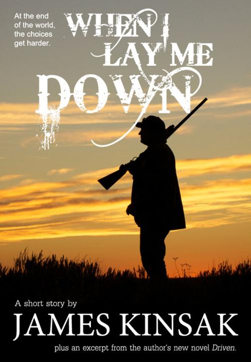 Cover of the book When I Lay Me Down by James Kinsak, Fiero Publishing