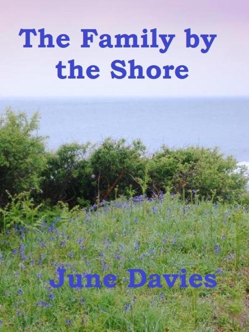 Cover of the book The Family by the Shore by June Davies, June Davies
