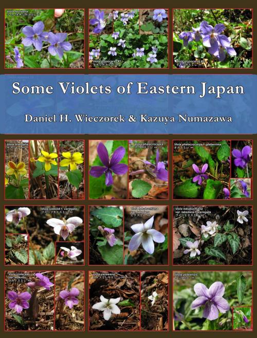 Cover of the book Some Violets of Eastern Japan by Daniel H. Wieczorek, Daniel H. Wieczorek