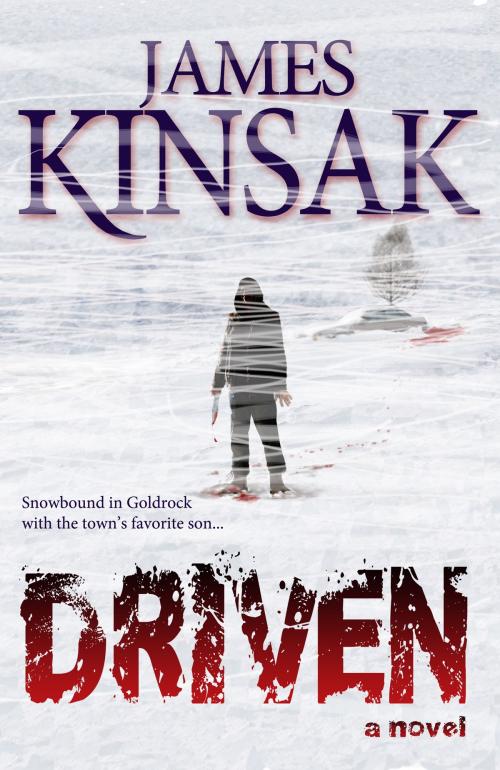 Cover of the book Driven by James Kinsak, Fiero Publishing