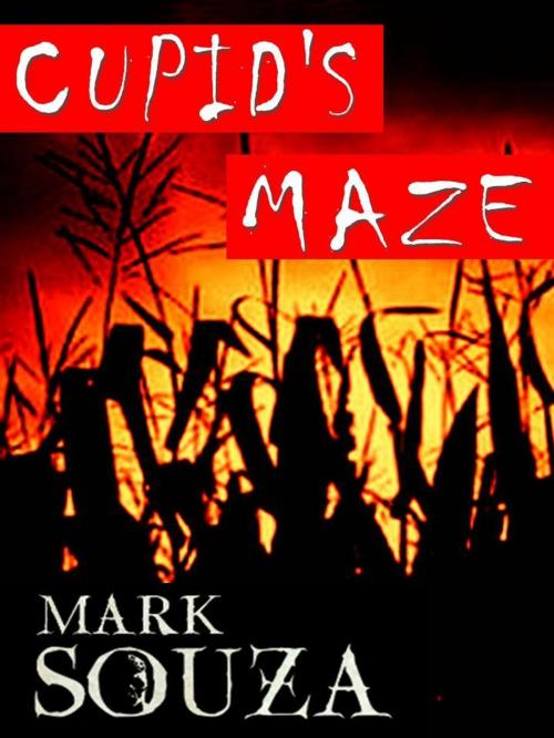 Cover of the book Cupid's Maze by Mark Souza, Mark Souza