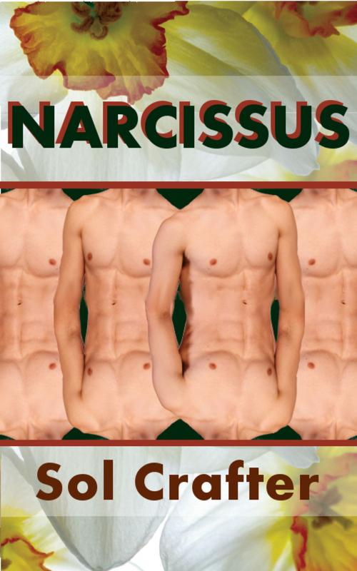 Cover of the book Narcissus by Sol Crafter, Kimichee