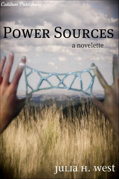 Cover of the book Power Sources by Julia H. West, Callihoo Publishing