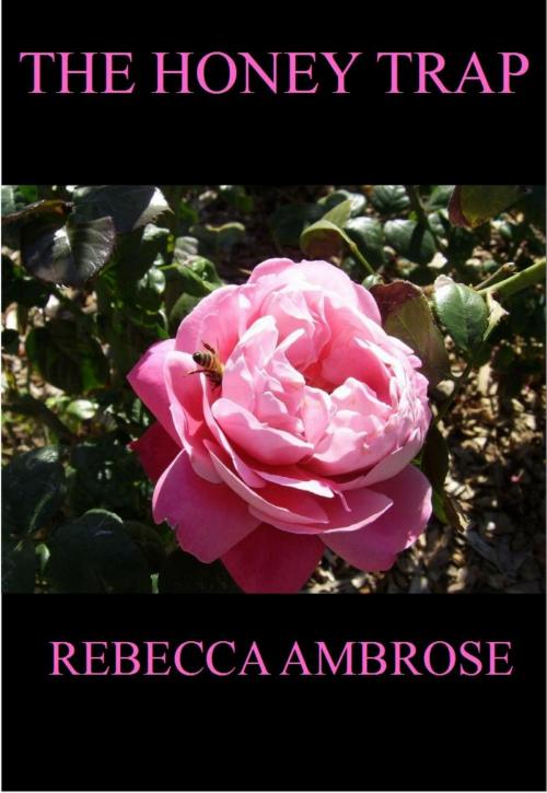 Cover of the book The Honey Trap by Rebecca Ambrose, Rebecca Ambrose