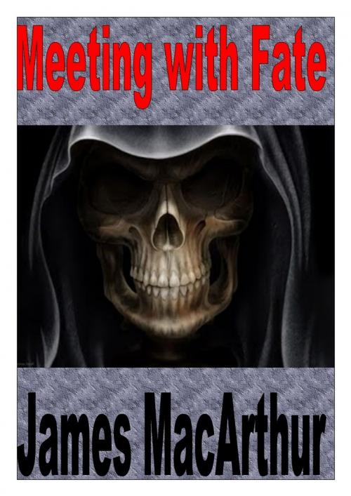 Cover of the book Meeting with Fate by James MacArthur, James MacArthur