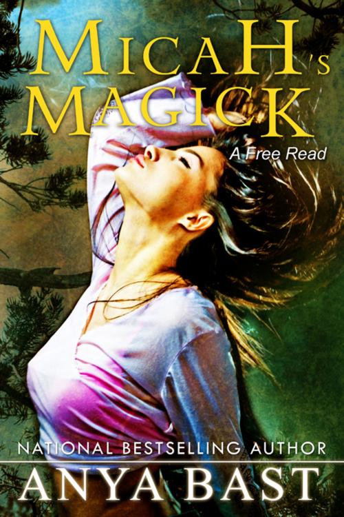 Cover of the book Micah's Magick by Anya Bast, Anya Bast
