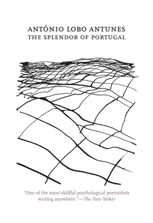 Cover of the book The Splendor of Portugal by AntÃ³nio Lobo Antunes, Dalkey Archive Press