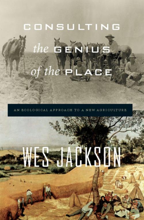 Cover of the book Consulting the Genius of the Place by Wes Jackson, Counterpoint Press