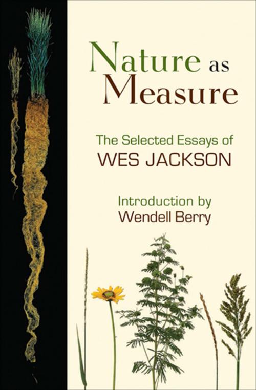 Cover of the book Nature as Measure by Wes Jackson, Counterpoint Press
