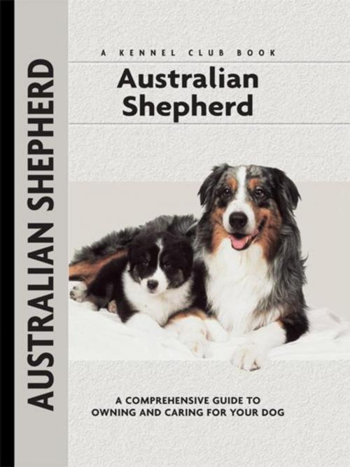 Cover of the book Australian Shepherd by Charlotte Schwartz, CompanionHouse Books