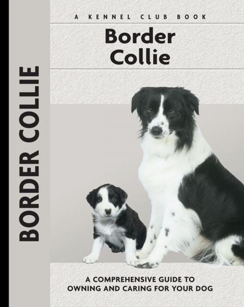 Cover of the book Border Collie by Stephen Sussam, CompanionHouse Books