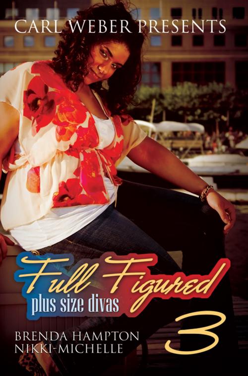 Cover of the book Full Figured 3: by Brenda Hampton, Nikki- Michelle, Urban Books