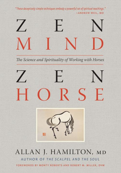 Cover of the book Zen Mind, Zen Horse by Allan J. Hamilton, MD, Workman Publishing