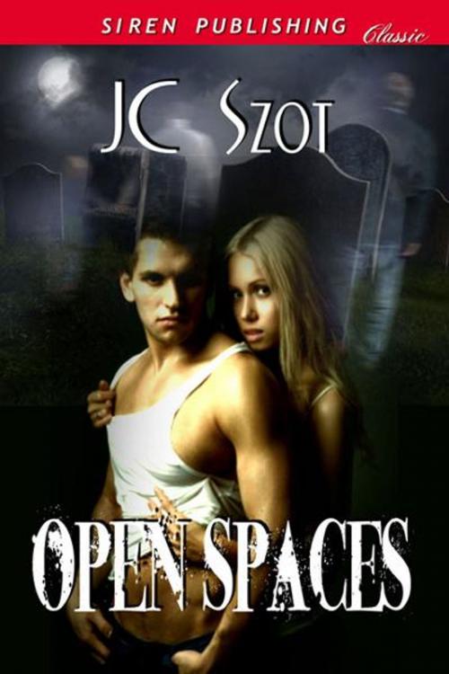 Cover of the book Open Spaces by JC Szot, SirenBookStrand