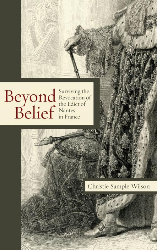 Cover of the book Beyond Belief by Christie Sample Wilson, Lehigh University Press