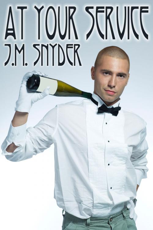 Cover of the book At Your Service by J.M. Snyder, JMS Books LLC
