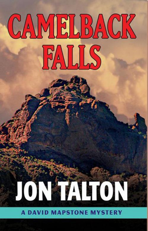 Cover of the book Camelback Falls by Jon Talton, Sourcebooks