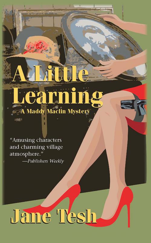Cover of the book A Little Learning by Jane Tesh, Sourcebooks