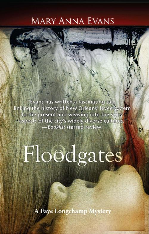Cover of the book Floodgates by Mary Anna Evans, Sourcebooks