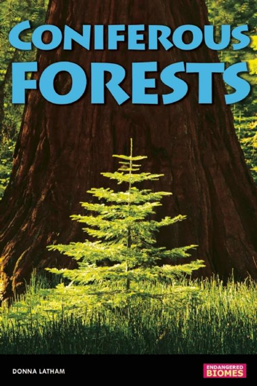 Cover of the book Coniferous Forests by Donna Latham, Nomad Press