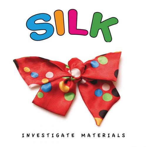 Cover of the book Silk by Nomad Press, Nomad Press