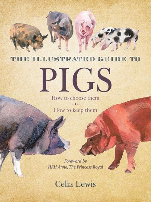 Cover of the book The Illustrated Guide to Pigs by Celia Lewis, Skyhorse