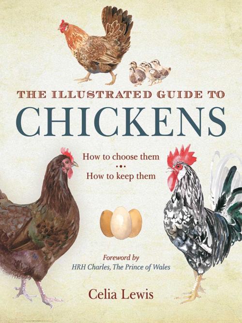 Cover of the book The Illustrated Guide to Chickens by Celia Lewis, Skyhorse
