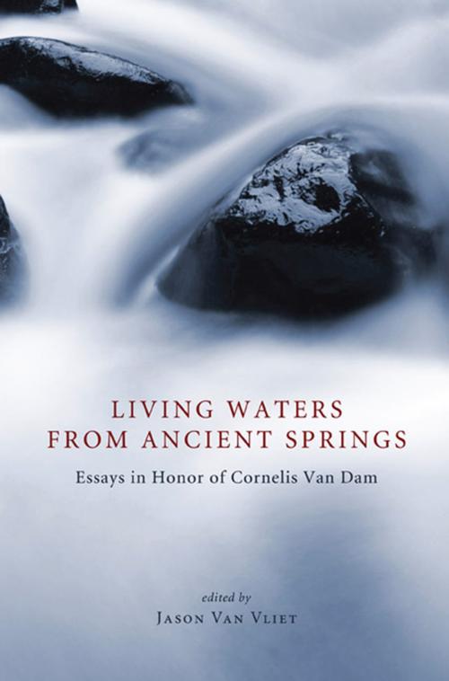 Cover of the book Living Waters from Ancient Springs by , Wipf and Stock Publishers