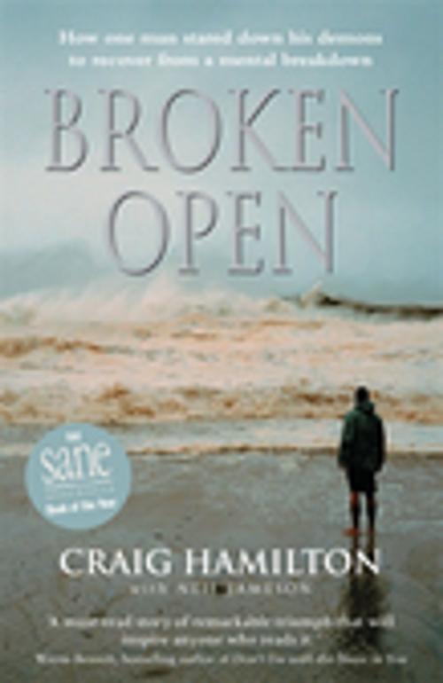 Cover of the book Broken Open by Craig Hamilton, Neil Jameson, Penguin Random House Australia