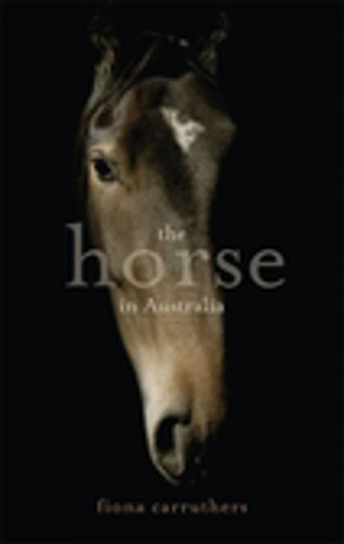 Cover of the book The Horse in Australia by Fiona Carruthers, Penguin Random House Australia