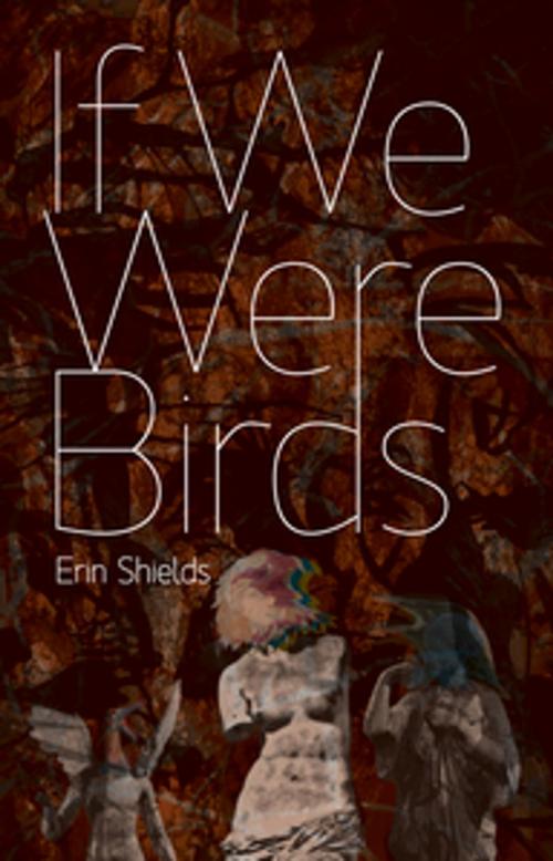 Cover of the book If We Were Birds by Erin Shields, Playwrights Canada Press