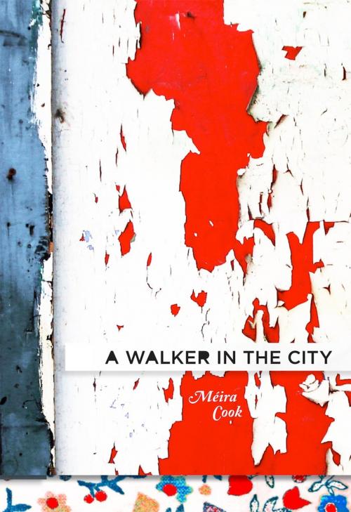 Cover of the book A Walker in the City by Méira Cook, Brick Books