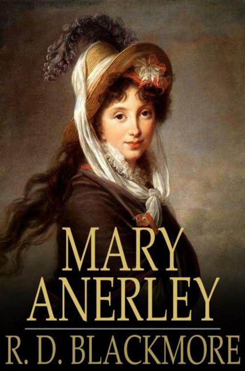 Cover of the book Mary Anerley by R. D. Blackmore, The Floating Press