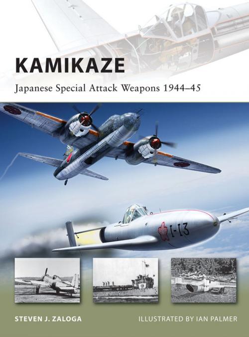Cover of the book Kamikaze by Steven J. Zaloga, Bloomsbury Publishing